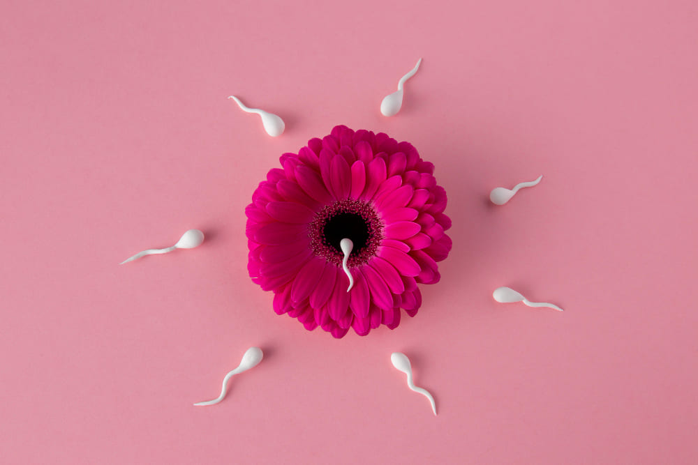 Cirugía para control de la fertilidad
