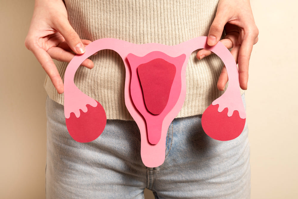 Histerectomía vaginal con o sin reconstrucción vaginal